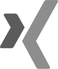 xing logo
